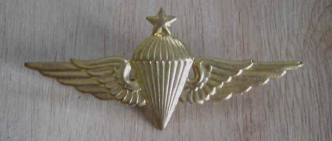 Middle East Parachute Qualification Badge