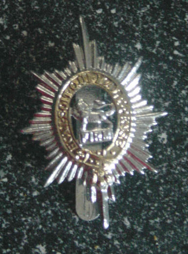 British Army Worcestershire Regiment Staybrite Cap Badge