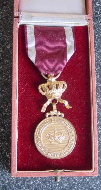 Belgium Order of the Crown Merit Medal Cased