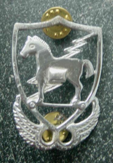 United States 10th Special Forces Badge