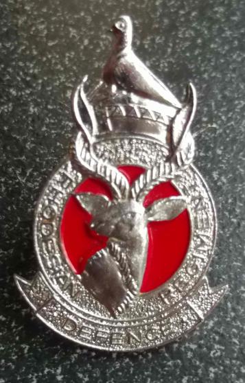 Rhodesia Defence Regiment Cap Badge