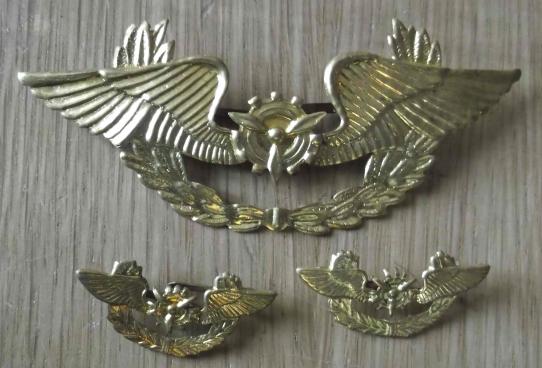 Bolivian Air Force Cadet Insignia.