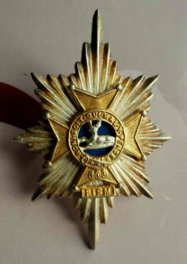 British Army WSF Sherwood Foresters Officers Cap Badge