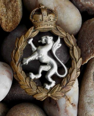 British Women's Royal Army Corps WRAC GVIR Cap Badge