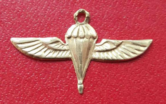 Gold Paratrooper Wings Charm 