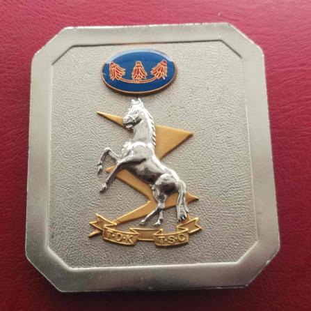 South African Army Technical Service Corps Stable Belt Buckle 