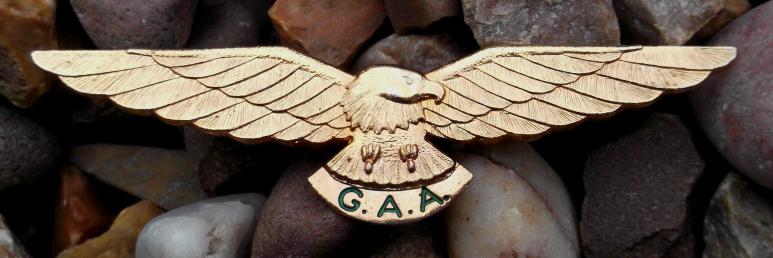 General Aviation Association ( Australia ) GAA Wings Badge