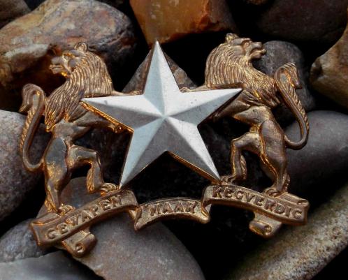 South African Army Regiment Molopo Bimetallic Cap Badge