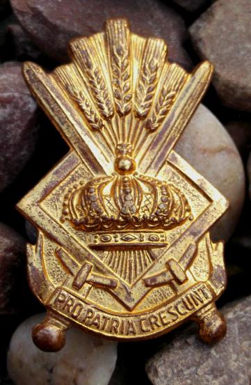 Belgian Army Cadet School Cap Badge