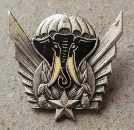 African Ivory Coast Paratroopers Qualification Badge Drago Paris