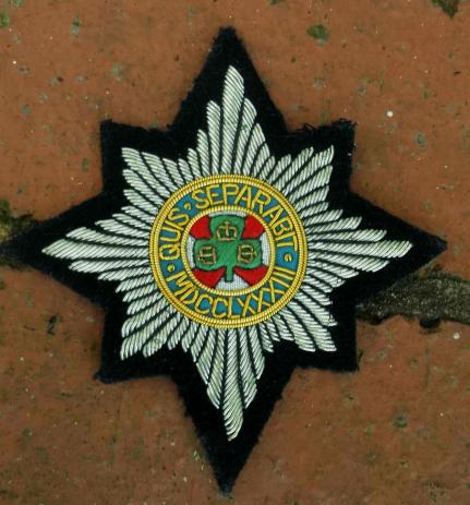 Vintage British Army Irish Guards Veterans Blazer Badge