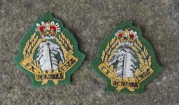 British Army Royal Army Dental Corps Officer Mess Collars Pair RADC EIIR