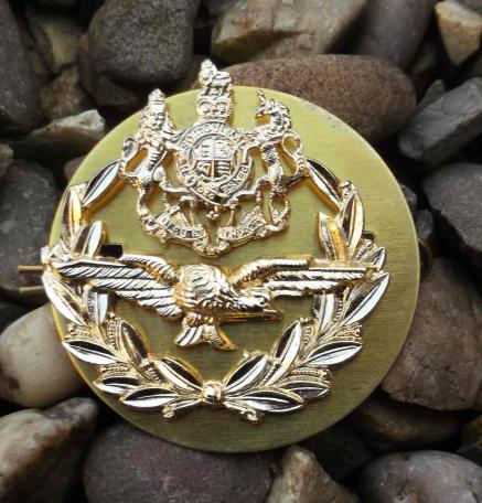 British Royal Air Force Master Aircrew Staybrite Warrant Officer RAF Rank Badge