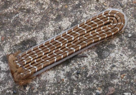 German WW2 SA Foot Regiment Shoulder Strap Sturmann Brownshirts