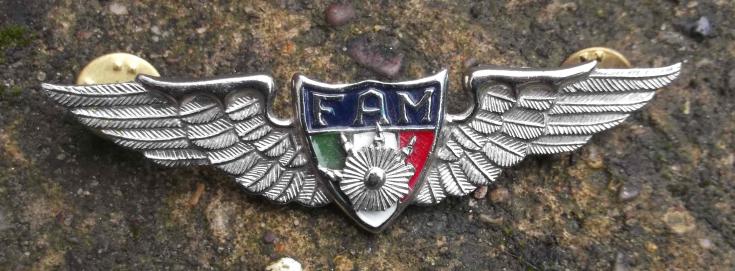 Mexican Air Force Aircrew Wings Badge FAM Republic of Mexico