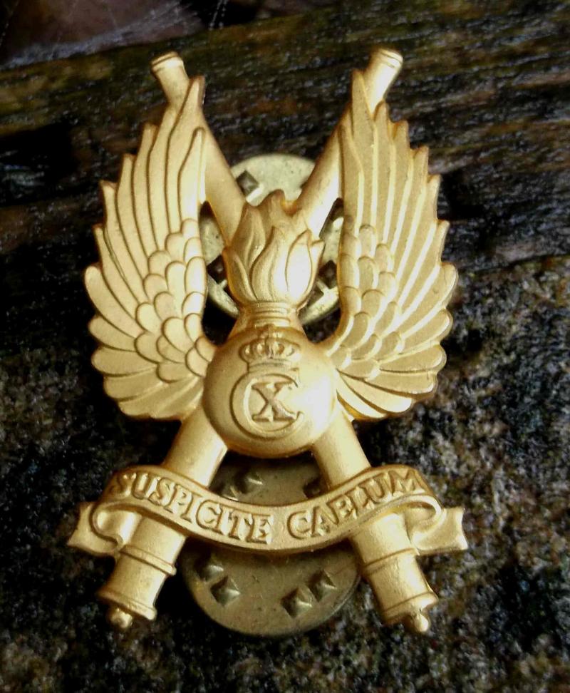 Danish Army Zealand Air Defence Regiment Badge Denmark