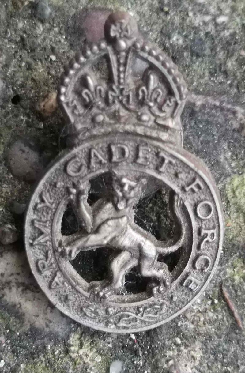 British WW2 Army Cadet Force ACF Plastic Economy Issue Lapel Badge