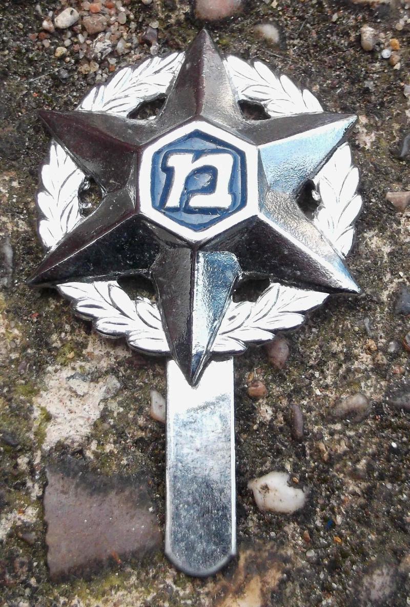 Israel Police Cap Badge Obsolete Israeli Beret Pattern