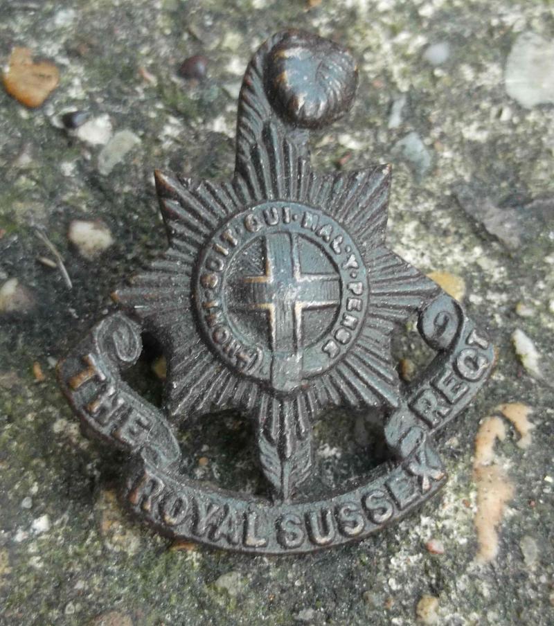 British Army Royal Sussex Regiment Officer's Bronzed Cap Badge