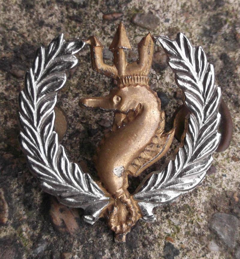 South African Air Sea Rescue Cap Badge South African