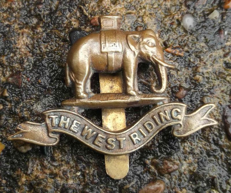 British Army Officers Collar Badge Duke of Wellingtons Regiment