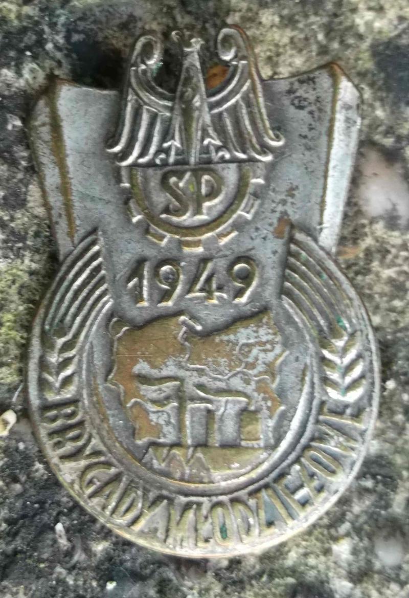 Polish Communist Party Youth Badge 1949 Poland