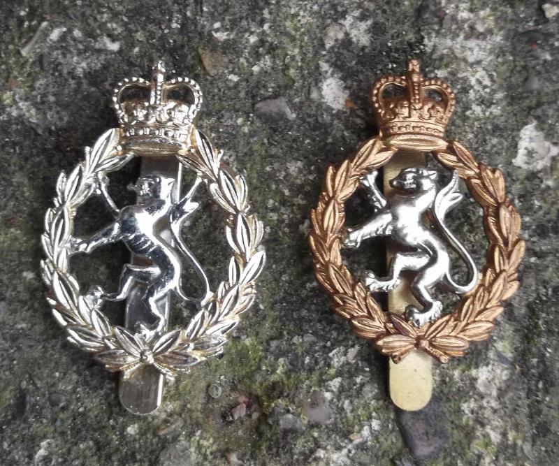 British Army Cap Badge Pair Women's Royal Army Corps