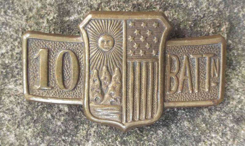 US New York State Militia 10th Battalion Pin Badge United States Army